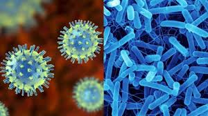 Beda Penyakit Yang Disebabkan Bakteri Vs Virus